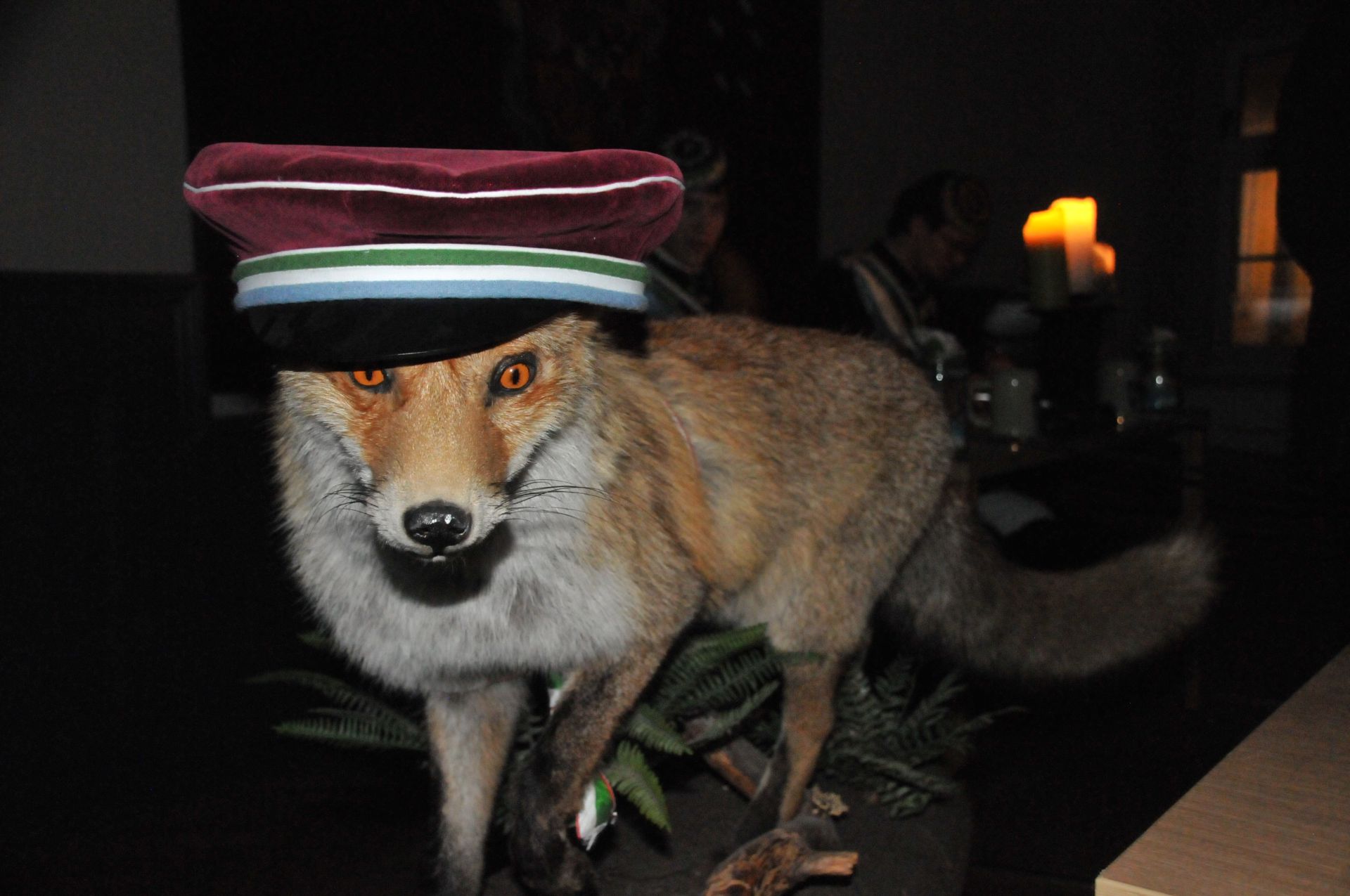 Gründungstagskneipe